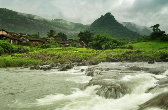 Natural herbs for male enhancement